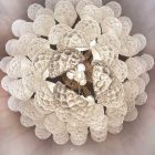 Murano chandelier - 75 glass leaves - Transparent